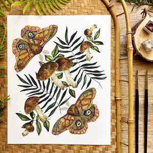 Moth Print with Mushroom Art, Decor image 2