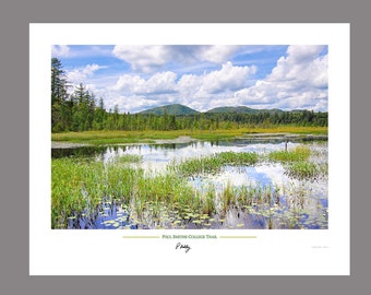 Paul Smiths Pond in the Adirondack Mountains landscape art print photo