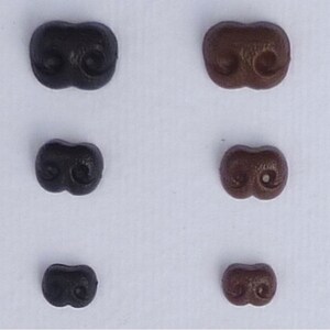 May include: Six pairs of plastic animal nose buttons in two sizes and two colors: black and brown. The buttons are shaped like a pair of nostrils.