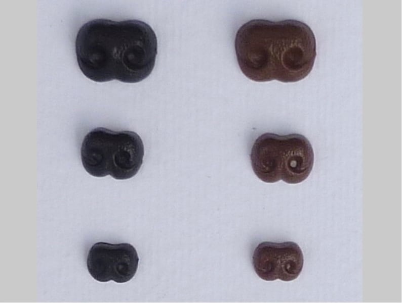 May include: Six pairs of plastic animal nose buttons in two sizes and two colors: black and brown. The buttons are shaped like a pair of nostrils.