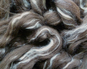 SALE! Shetland natural wool/silk blend roving - dark brown - Needle felting wool  - natural Shetland roving - silk fibers - Shetland wool