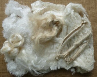 Könnte beinhalten: Eine Ansammlung roher weißer Textilfasern, bestehend aus losen, flauschigen Büscheln, glatten, glänzenden Locken und mehreren gedrehten Strängen aus cremefarbenem Material. Das Sortiment zeigt unterschiedliche Texturen von luftig bis dicht.