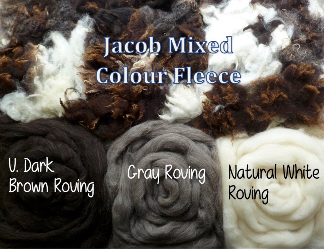 Washed Jacob Wool Jacob Wool Fleece Jacob Wool Roving Etsy