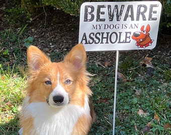 Puede incluir: Un cartel blanco con texto negro que dice "Beware My Dog Is An Asshole" con una ilustración de perro de dibujos animados. Un perro corgi está de pie frente al cartel.