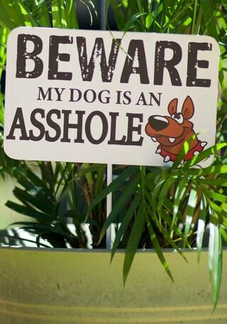 Balgardekor Cartello Divertente In Metallo "Beware Of Dog: The Cat Is Shady As Hell Too" – 30.5x20.3 Cm