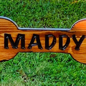 May include: A wooden dog bone sign with the name "MADDY" carved into it. The sign is stained a dark brown color and has a rustic look.