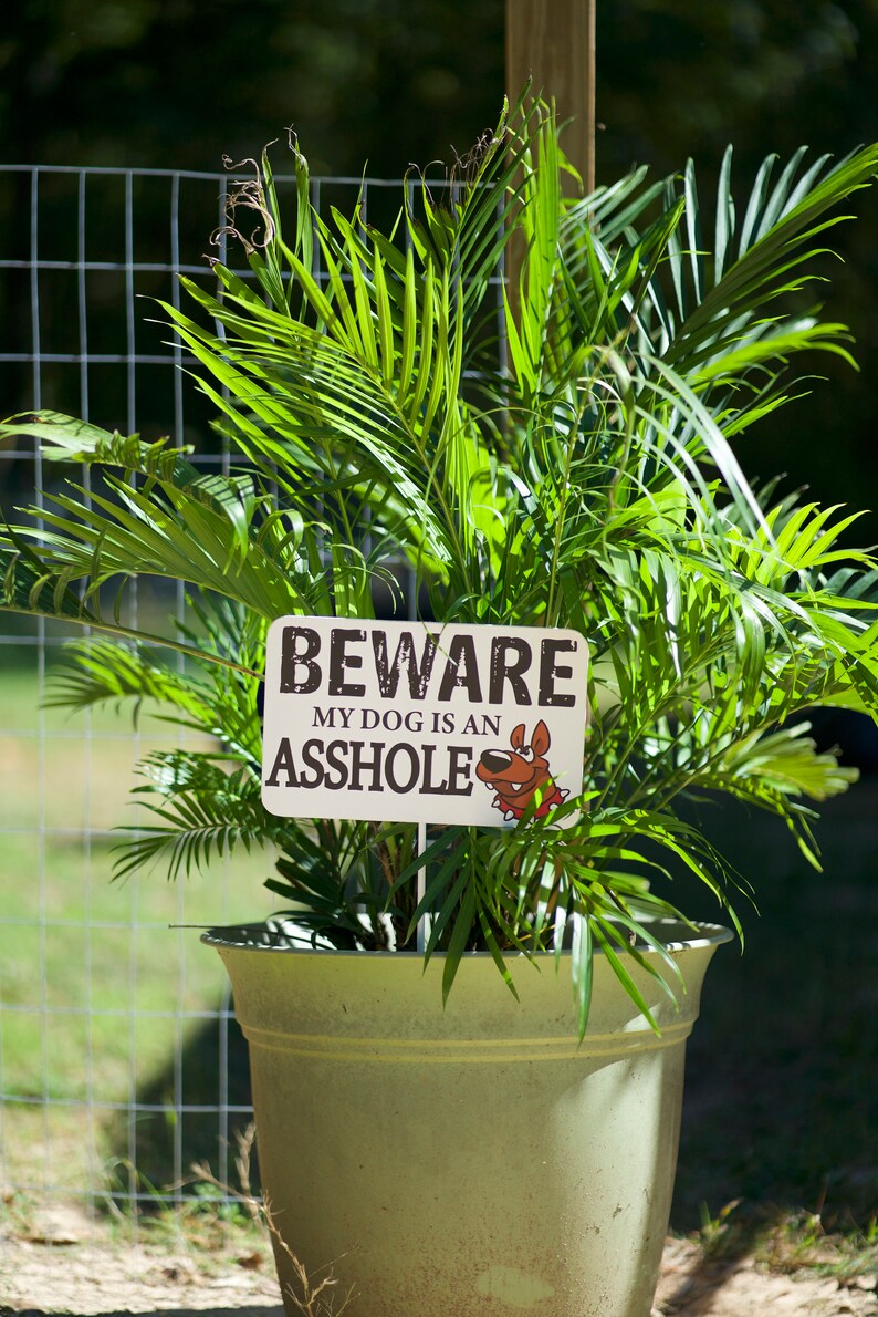 Lustig Hundeschild Beware of Dog Schild Stahlbeware Of Dog Schild Beware Of Dog Hofschild Lustig Yard Stake Bild 4