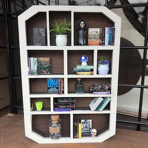 Mini Bookshelf with Books, Mini Bookshelf Kit, Custom Mini Books, Anxiety Bookshelf, Create your Bookshelf, Mini Books, Gift For Book Lover