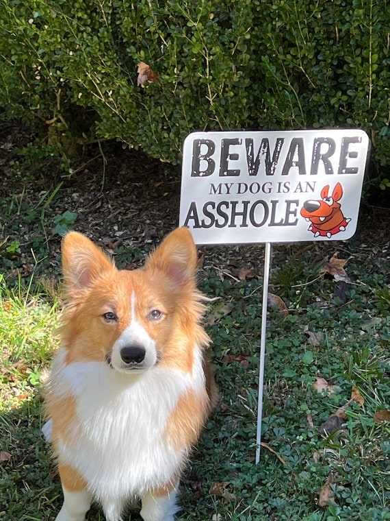 Funny Dog Sign, Beware of Dog Sign, Steel Beware Of Dog Sign, Beware Of Dog Yard Sign, Funny Yard Stake, Dog Yard Sign