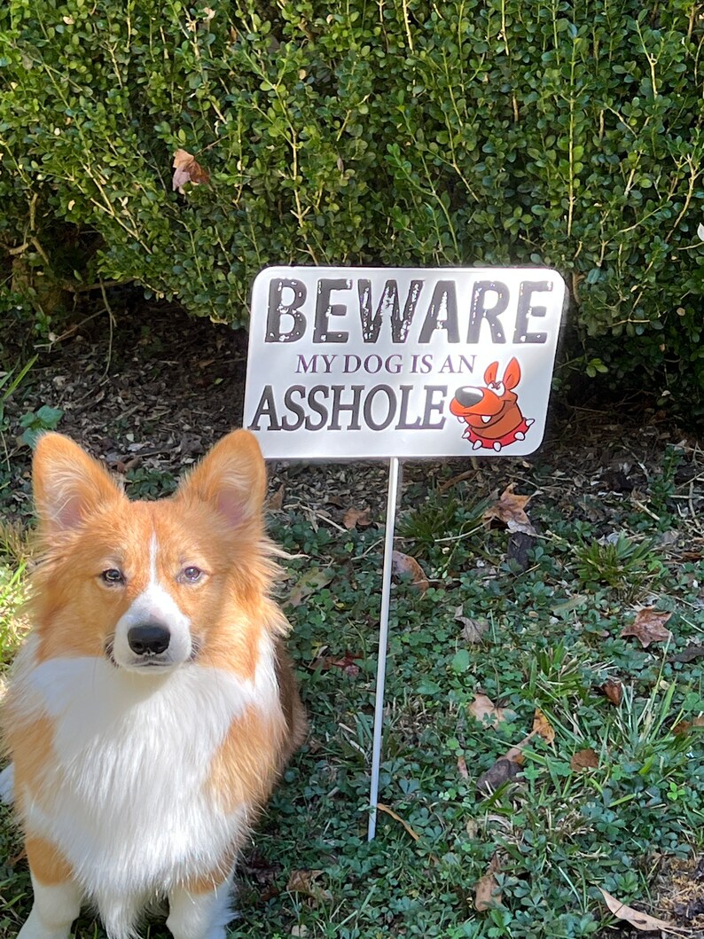 Lustig Hundeschild Beware of Dog Schild Stahlbeware Of Dog Schild Beware Of Dog Hofschild Lustig Yard Stake Bild 6