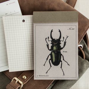 May include: A small, brown, paper notebook with a black and green illustration of a stag beetle. The notebook has a brown cover and a grey paper insert. The text on the notebook reads "No. 2618" and "70 mm."