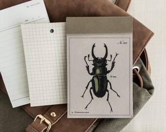 May include: A small, brown, paper notebook with a black and green illustration of a stag beetle. The notebook has a brown cover and a grey paper insert. The text on the notebook reads "No. 2618" and "70 mm."