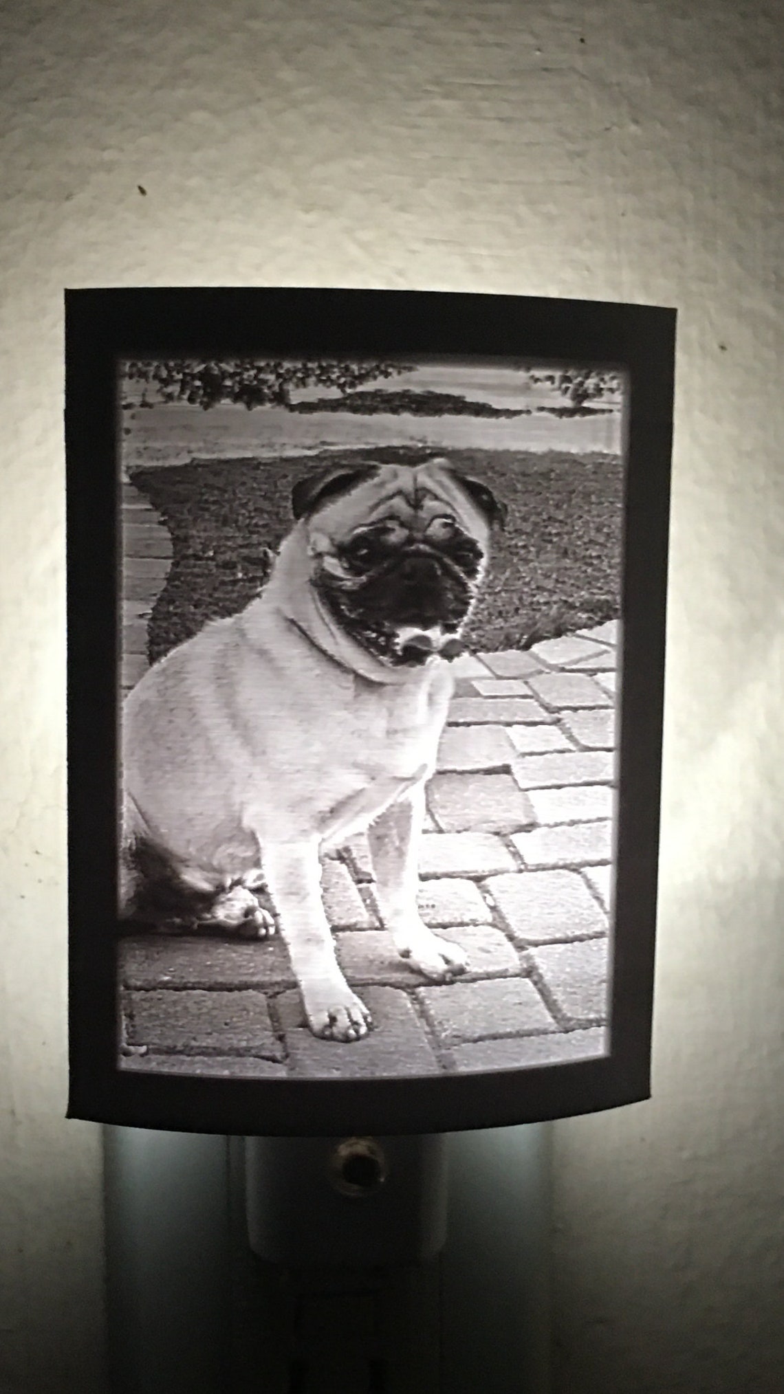 Pet Night Light Pet Memorial Custom 3d Printed Lithophane Pet Etsy