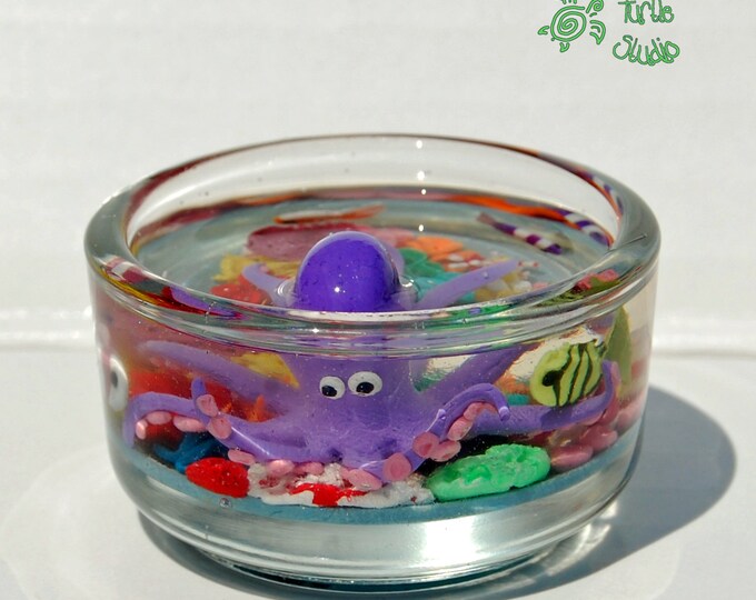 Miniature Coral Reef Aquarium With Octopus & Tropical Fish Etsy