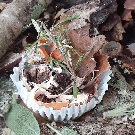 Encendedor de café reciclado para parrilla de carbón, fogata