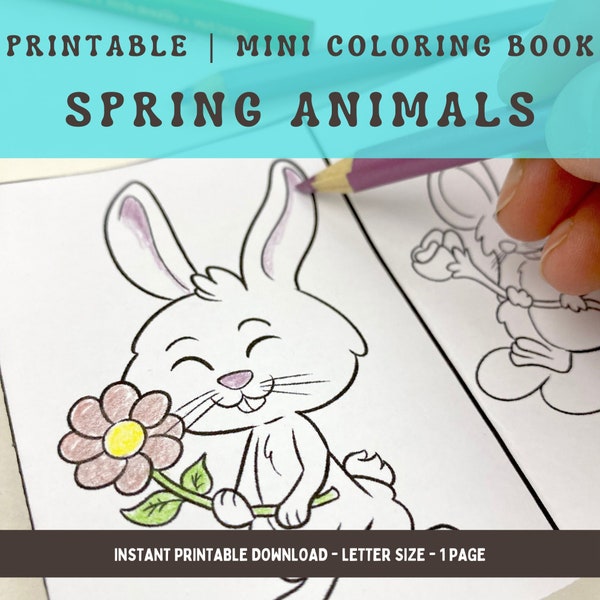 Mini libro da colorare degli animali primaverili per la scuola materna, foglio da colorare stampabile per la tua borsa degli acquisti o un'attività di festa primaverile.