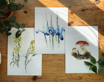 A5 Botanical Illustrations