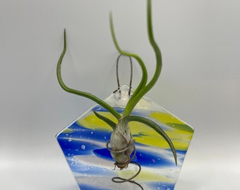 Fused glass airplant suncatcher