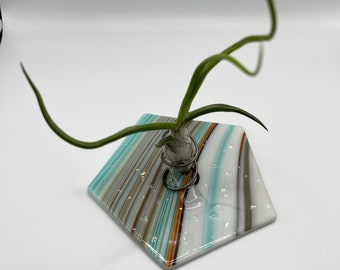 Fused glass airplant holder