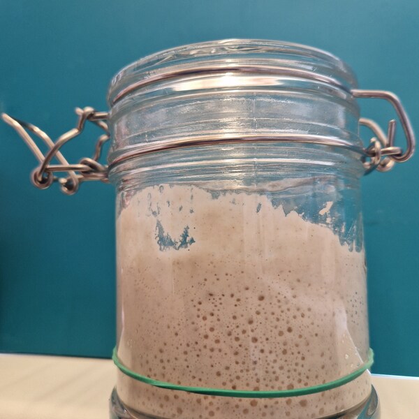 40 - 80 gr Organic 50+ years old active Italian wild yeast sourdough starter perfect for baking, bread and pizza with free instruction