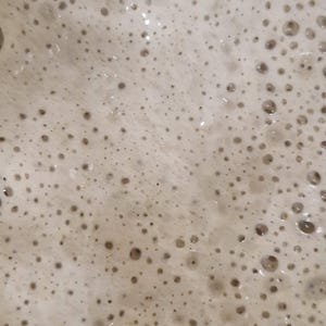 May include: Close-up of a light brown foamy surface with many small, dark brown bubbles.
