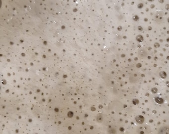 25gr-400gr Organic 50+ years old active Italian wild yeast sourdough starter perfect for baking, bread, pizza Free tracking post&instruction