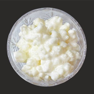 May include: A clear glass bowl filled with white, creamy kefir grains.