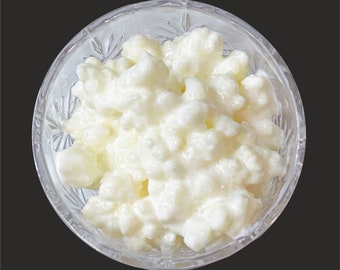 10 gr Organic Live Milk Kefir Grains Tibetan Probiotic Culture Starter Grzybek, Hygienic, High quality, Free instruction & tracking delivery