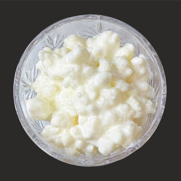 10 gr Organic Live Milk Kefir Grains Tibetan Probiotic Culture Starter Grzybek,Hygienic, High quality, Great value 1st Class Post