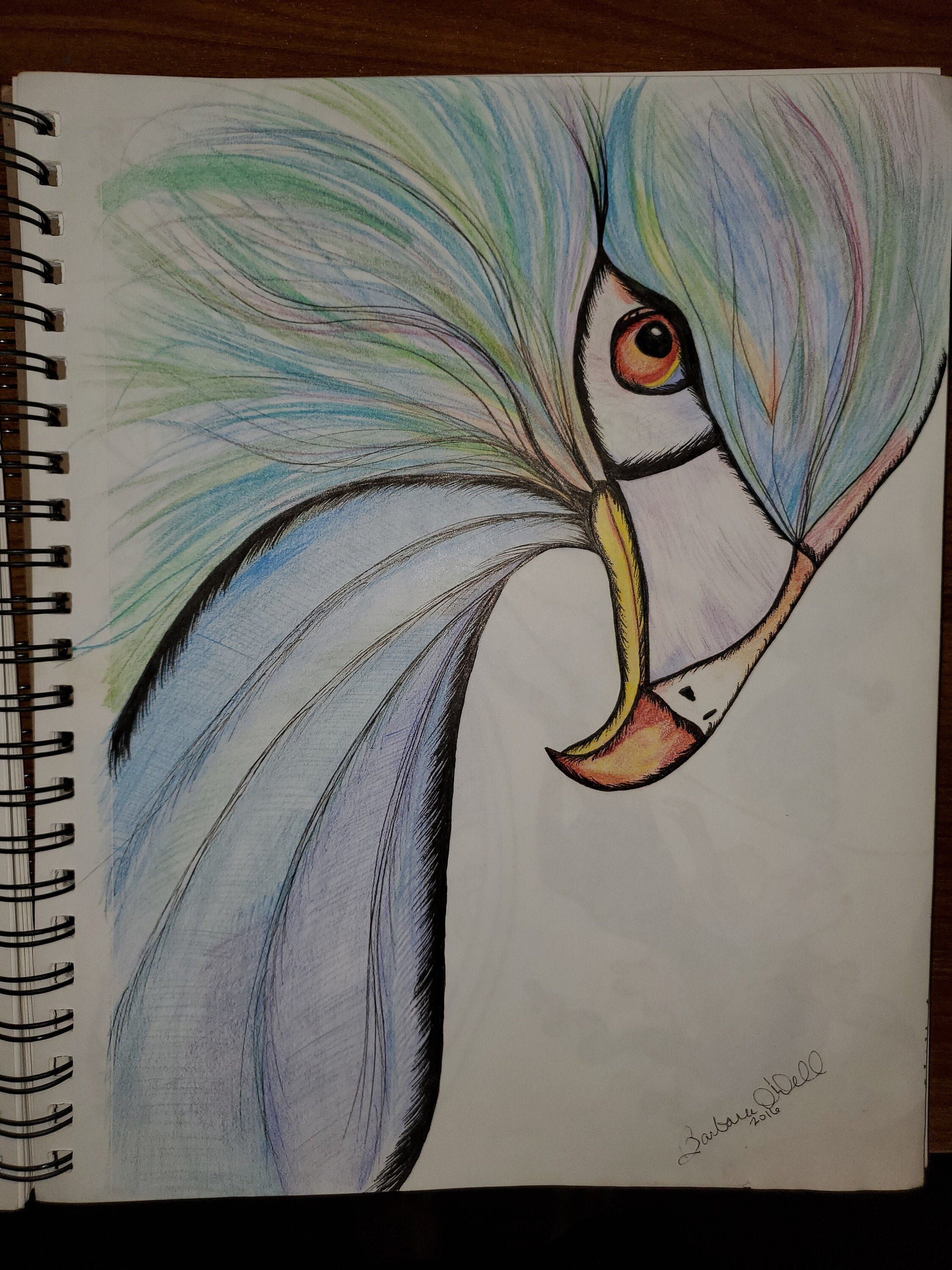 760 Koleksi Gambar Burung Merak Dari Pensil Gratis