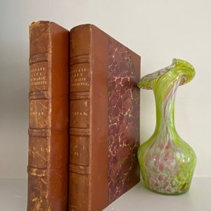 The Private Life of Marie Antoinette by Jeanne Campaign, 2 volumes, leather bound, Bentley London 1884, rare book, collectable, etchings