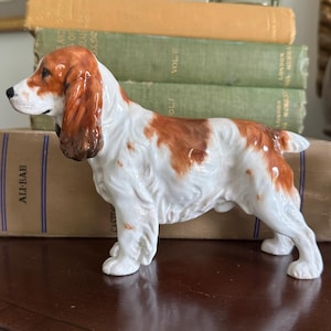 A 20th Century Meissen Porcelain Model of a Sitting Dog in White
