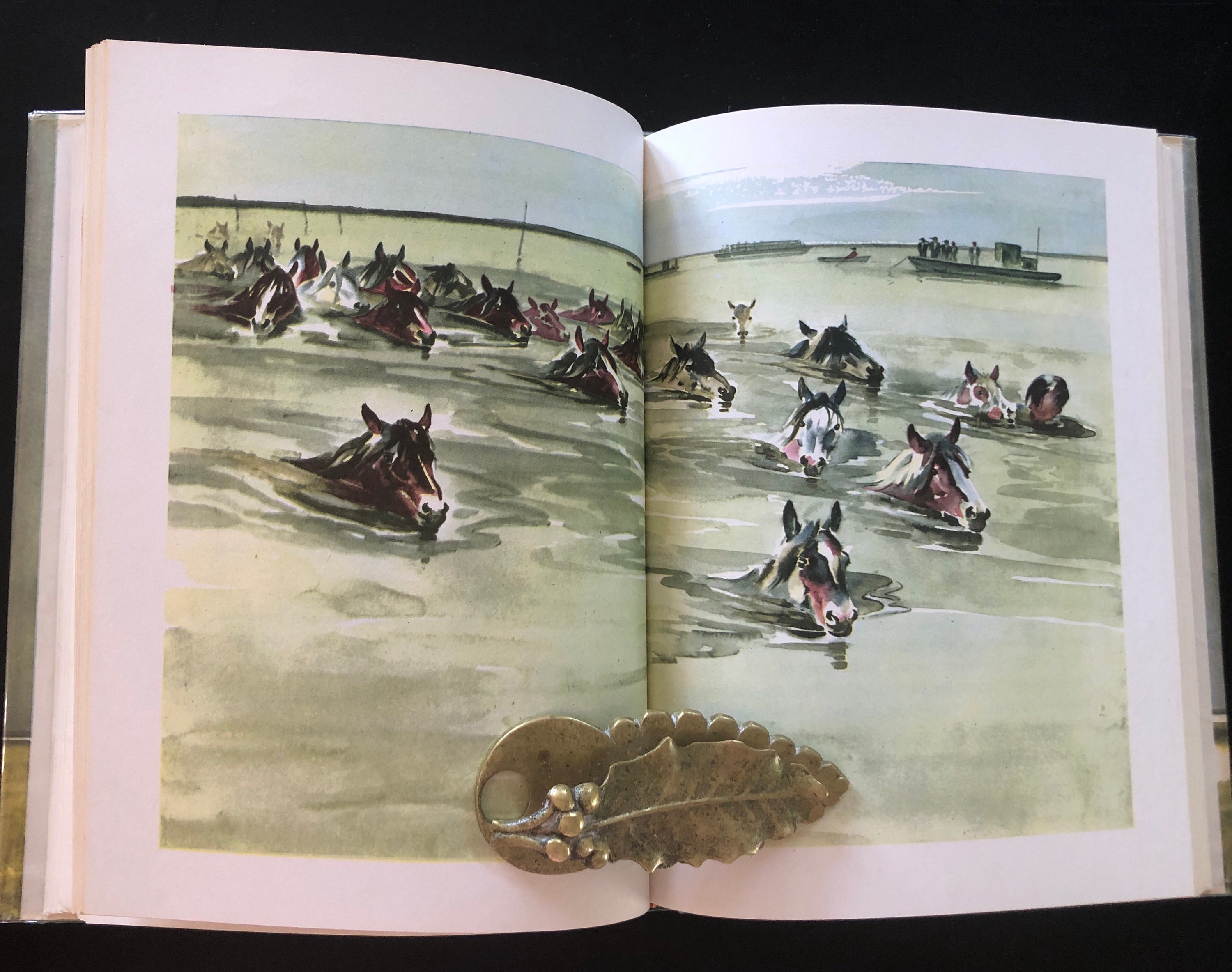 misty of chincoteague by marguerite henry misty of chincoteague by marguerite henry