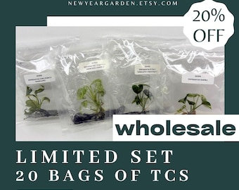 Newyeargarden - Etsy