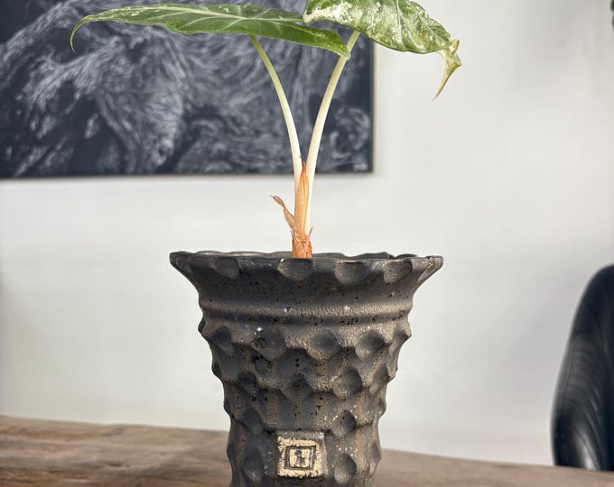 Modern Textured Ceramic Planter