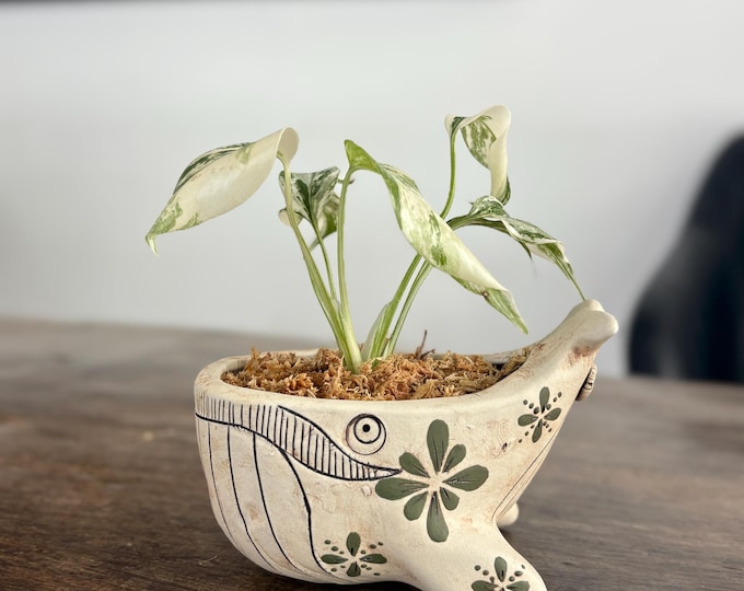 Ceramic Whale Planter Pot with Hand-Painted Floral Design