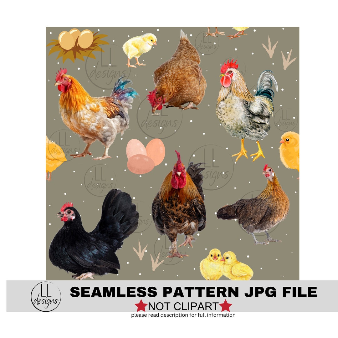 Realistic Chickens Farm Bawk Animals JPG Seamless Pattern, Digital ...