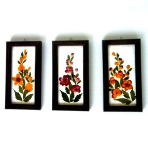 Dried Pressed Flower, flowers framed, Herbarium, Original Herbarium Specimen Art, Woden Framed, Real Pressed Flower Art
