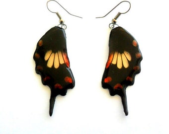 Real Butterfly Wings Earrings Handmade Unsual Color Jewelry Gift  / Natural Jewelry Earring