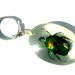 Real Beetle Insect Key Ring Genuine Insect Taxidermy Entomology Bug Key ...