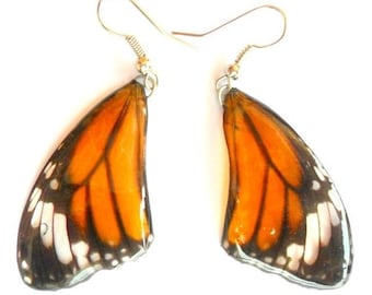 Real Butterfly Wings Earrings Handmade Unsual Color Jewelry Gift  / Natural Jewelry Earring