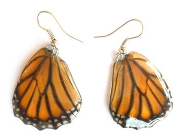 Real Butterfly Wings Earrings Handmade Unsual Color Jewelry Gift  / Natural Jewelry Earring