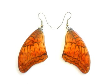 Real Butterfly Wings Earrings Handmade Jewelry Gift / Honey Brown / Natural Jewelry Earring