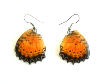 Real Butterfly Wings Earrings Handmade Jewelry Gift / Black / Natural Jewelry Earring