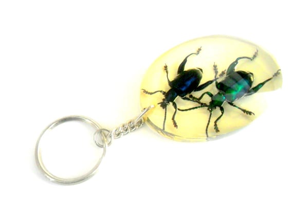 Real Scorpion Clear Resin Keyring Insect Keychain Taxidermy Car Key Ring Chain Real Scorpion Clear Resin Keyring Insect Keychain Taxidermy Car Key Ring Chain