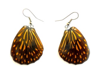 Real Butterfly Wings Earrings Handmade Jewelry Gift / Black Orange / Natural Jewelry Earring