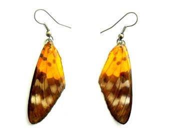 Real Butterfly Wings Earrings Handmade Jewelry Gift / Yellow Black / Natural Jewelry Earring