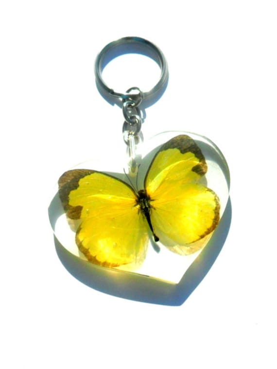 Real butterfly keychain best sale