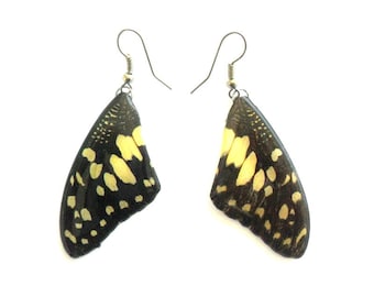 Real Butterfly Wings Earrings Handmade Jewelry Gift  Black Orange  Natural Jewelry Earring