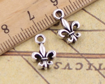 50 Stück Fleur de Lis Charms Anhänger 14x9mm antikes Silber Ornament Zubehör Schmuckherstellung DIY Handarbeit Basismaterial